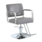 Salon Chair Hydraulic Chair for Business or Home,...