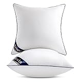 Siluvia 18'x18' Pillow Inserts Set of 2 Decorative...