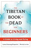 The Tibetan Book of the Dead for Beginners: A...