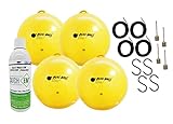 Gnat Ball Deluxe Complete kit - Gnats, House Fly,...