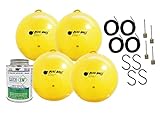 Gnat Ball 4 Pack Starter Complete kit - Gnats,...