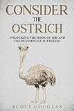 Consider the Ostrich: Unlocking the Book of Job...