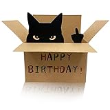 AMINORD Birthday Card - Cat Birthday Card for Men...