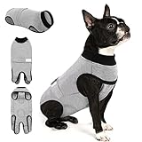 Queenmore Recovery Suit for Dogs Cats After...