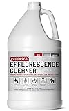 RadonSeal Efflorescence Remover - Cleans...