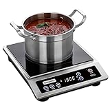 ChangBERT Induction Cooktop, Portable Cooker,...