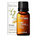 Gya Labs Pure Ginger Oil for Pain - 100% Natural...