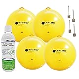 Gnat Ball Deluxe kit - Gnats, House Fly,...
