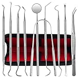 Dental Tools, 10 Pack Stainless Steel Plaque...