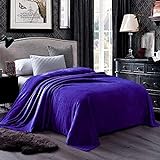 Luxora Bedding Velvet Plush Full XL Size, Sheet...