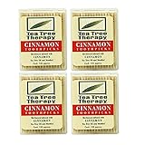 Tea Tree Therapy Toothpicks, Cinnamon, 100 Count...