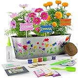 Paint & Plant Flower Craft Kit for Kids - Best...