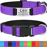 Taglory Personalized Dog Collars for Medium Dogs,...